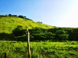 Countryside | Fascination Fiji | Nadi, Fiji